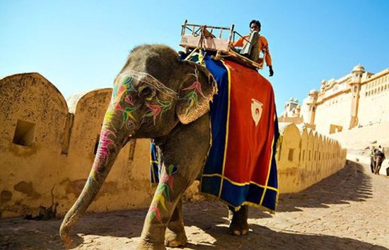 Golden Triangle Tour Packages