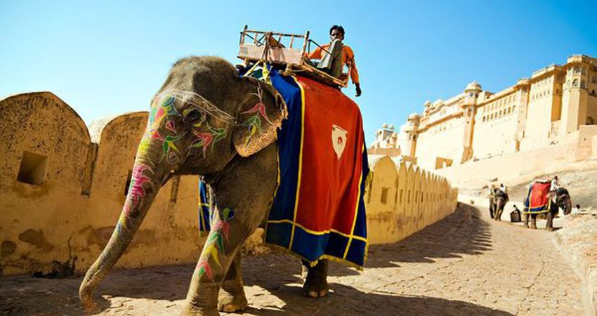 Golden Triangle Tours 6 Days